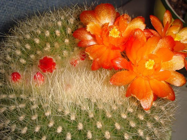 Husun与Optomec达成合作在中国分销Optomec3D打印系统【泛亚电竞平台】(图2) 泛亚电竞平台