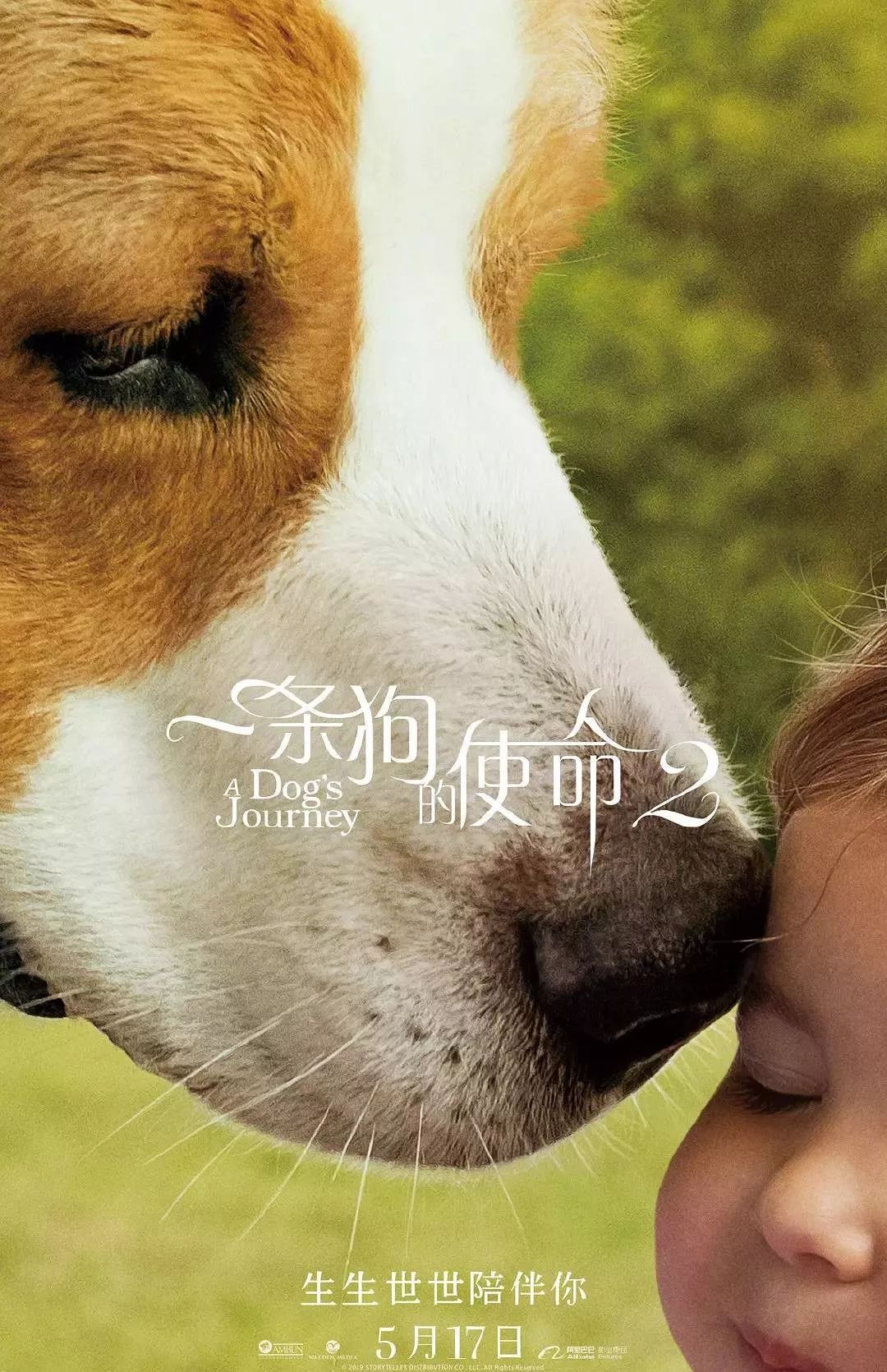 泛亚电竞平台_GoogleQ2利润暴增211%,但业务营收危机依然在(图3) 泛亚电竞