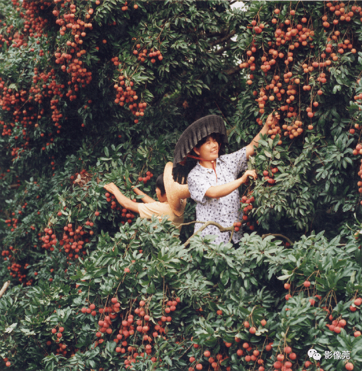 【泛亚电竞官网】
寻人!2001年到场过这个开镜仪式的影友荟萃啦(图25) 【泛亚电竞官网】
寻人!2001年到场过这个开镜仪式的影友荟萃啦(图25)