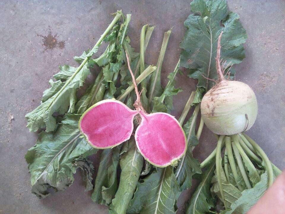 泛亚电竞-希望这个冬天不太冷,因为我穿不起秋裤了(图2) 泛亚电竞平台