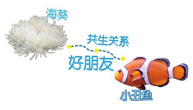 球票免费、另有签名球衣和足球!中冠联赛总决赛,菏泽主场VS延边|泛亚电竞(图1) 泛亚电竞官网