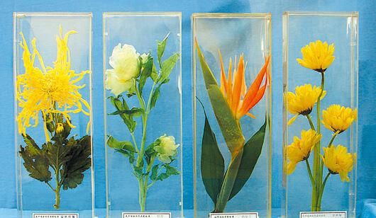 泛亚电竞官网-4425颗卫星!SpaceX要为全球提供高速互联网服务(图1) 泛亚电竞